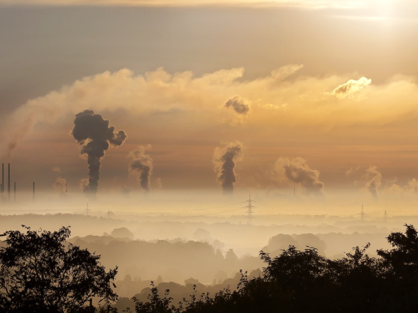 Accomplish sustainability goals reduce carbon footprint